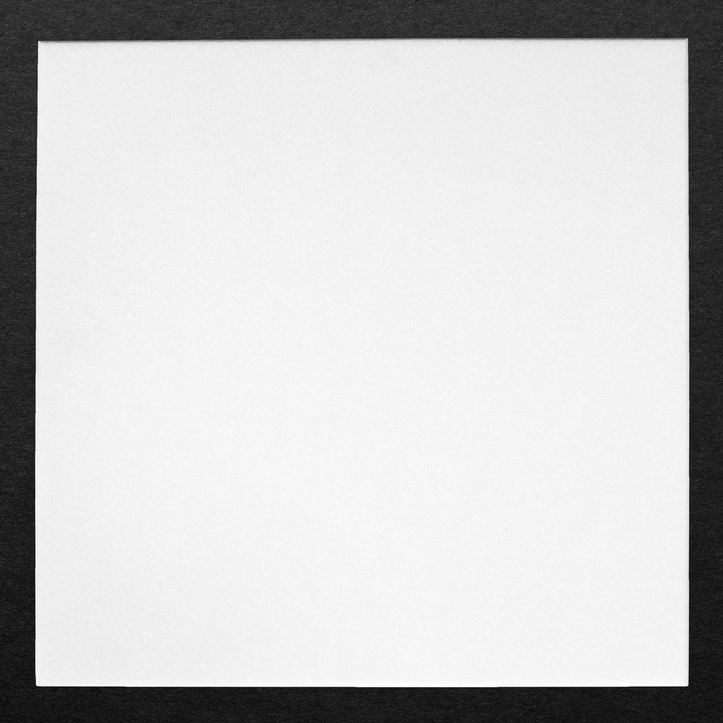 Thassos Tile Select Honed 12" X 12"
