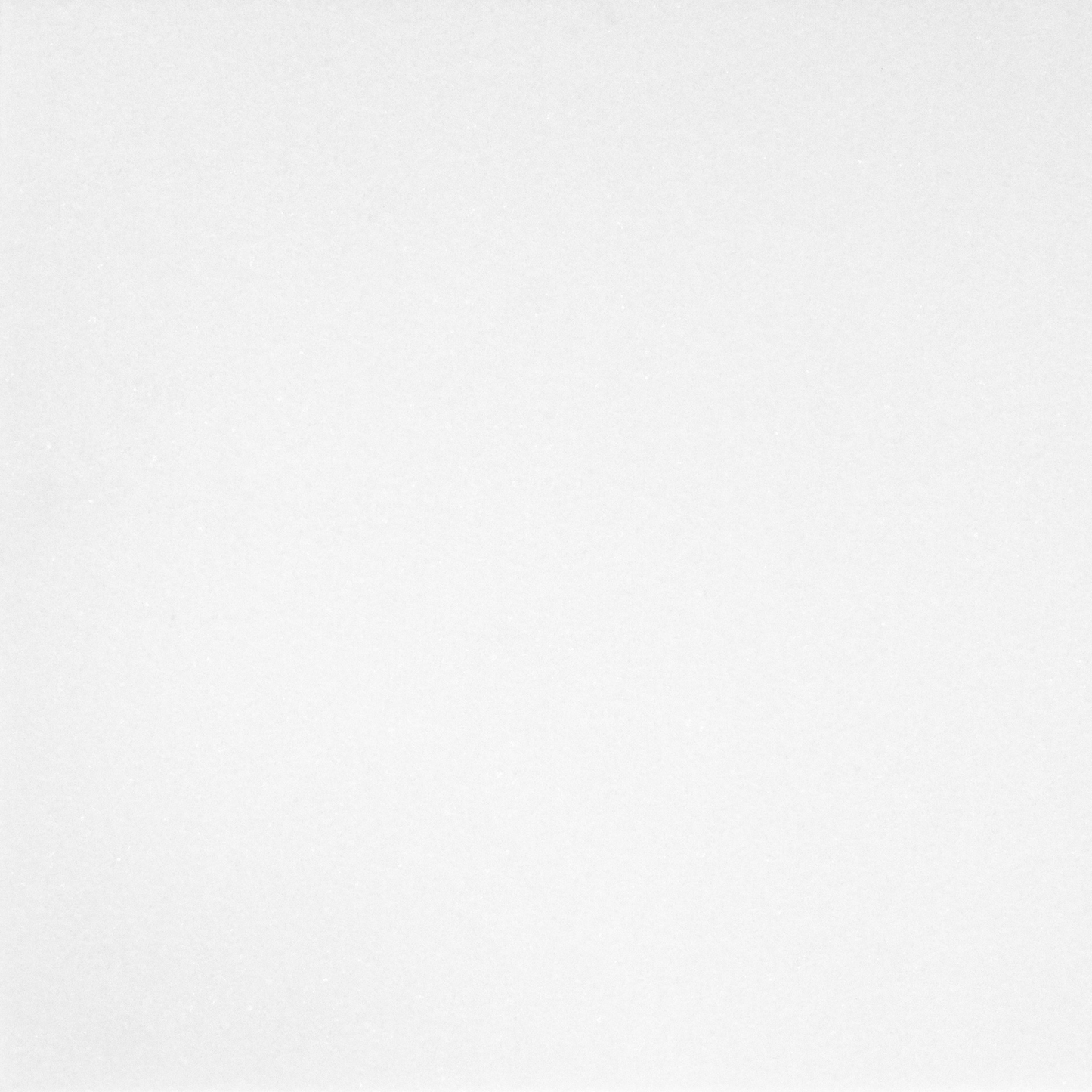 Thassos Tile Select Honed 12" X 12"