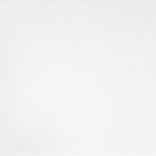 Thassos Tile Select Honed 12" X 12"