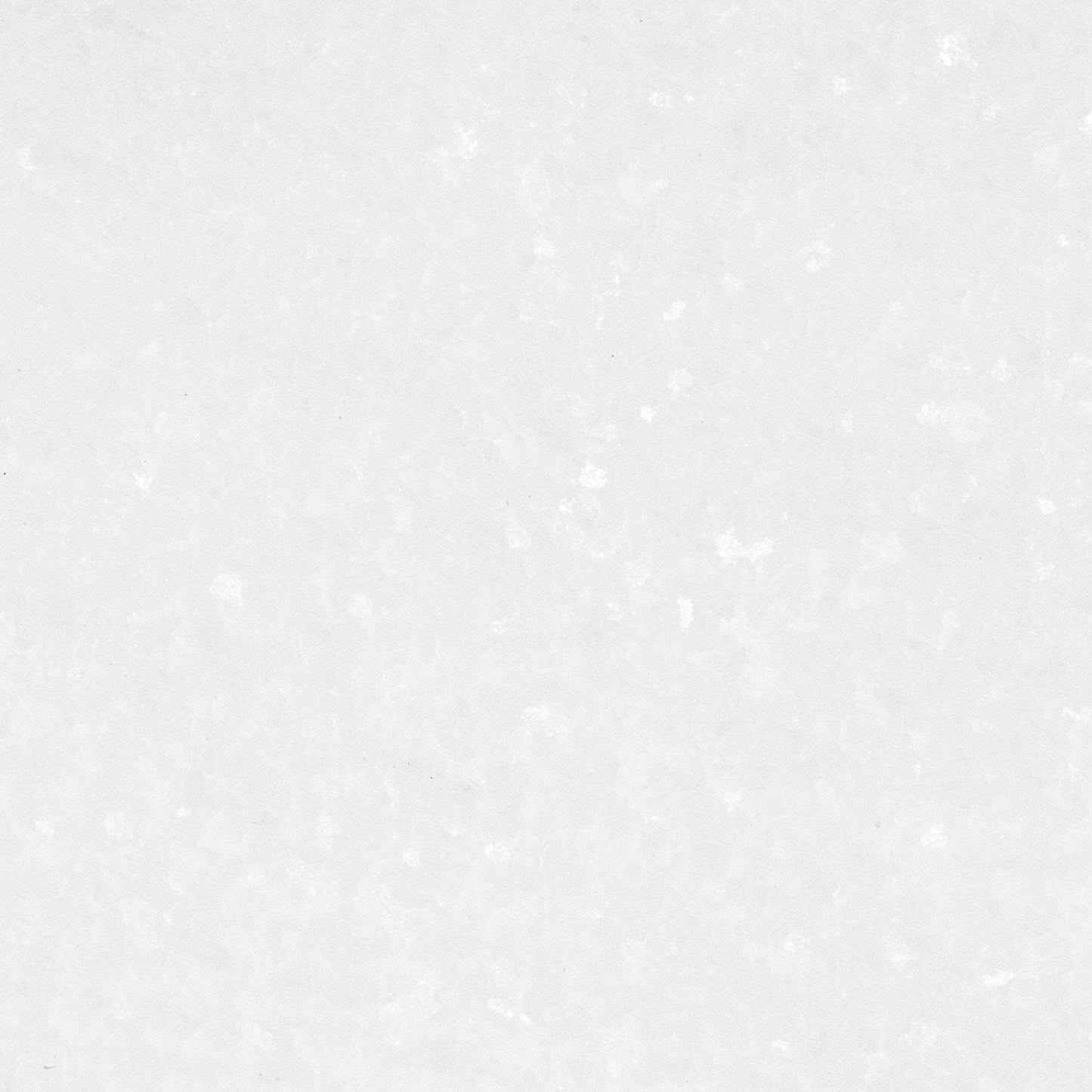 Thassos Tile Select Honed 12" X 12"