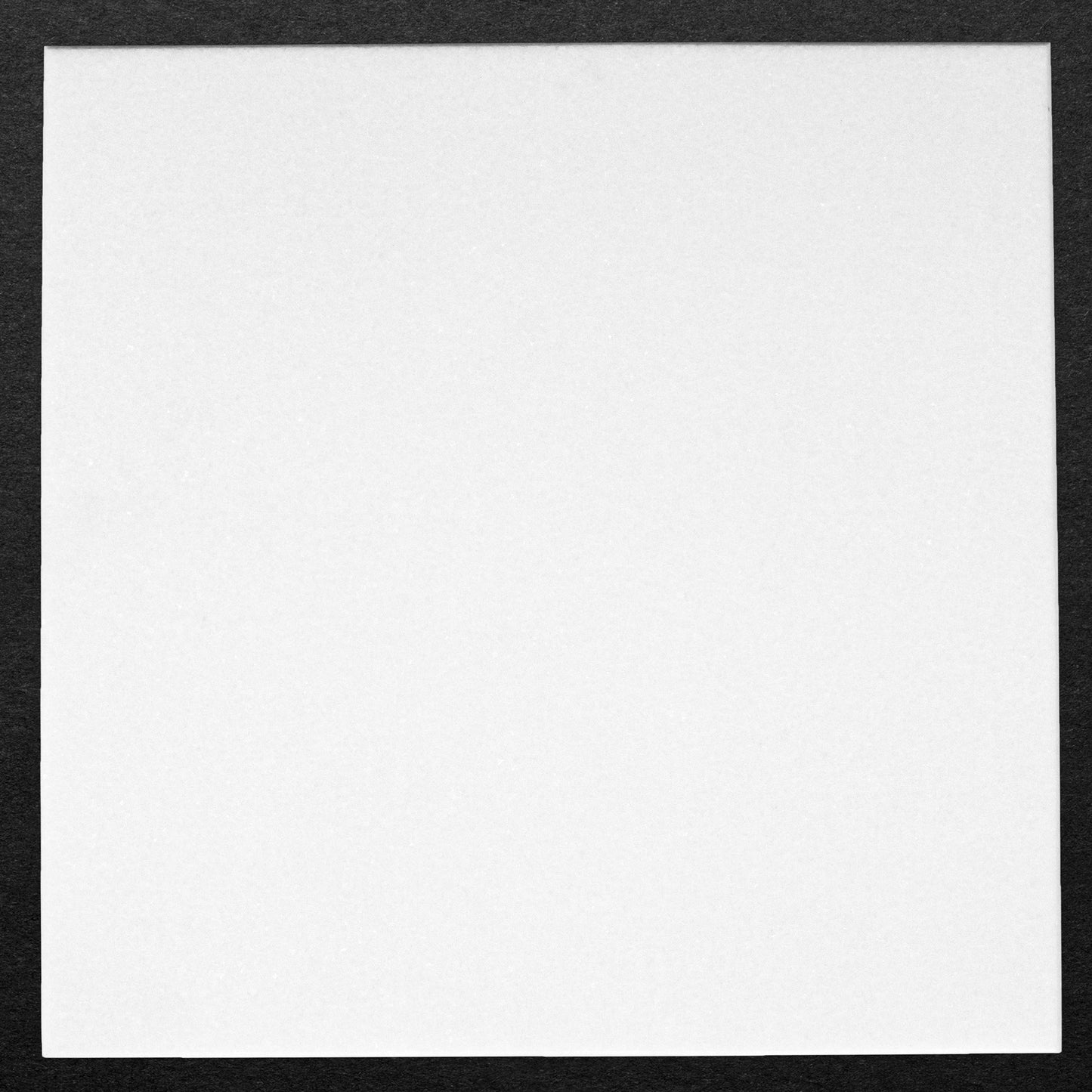 Thassos Tile Select Polished 12" X 12"