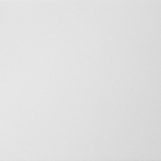 Thassos Tile Select Honed 12" X 24"