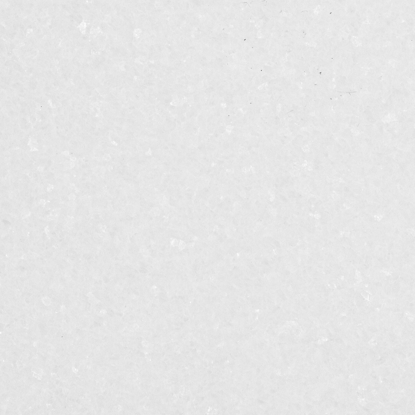 Thassos Tile Select Honed 12" X 24"