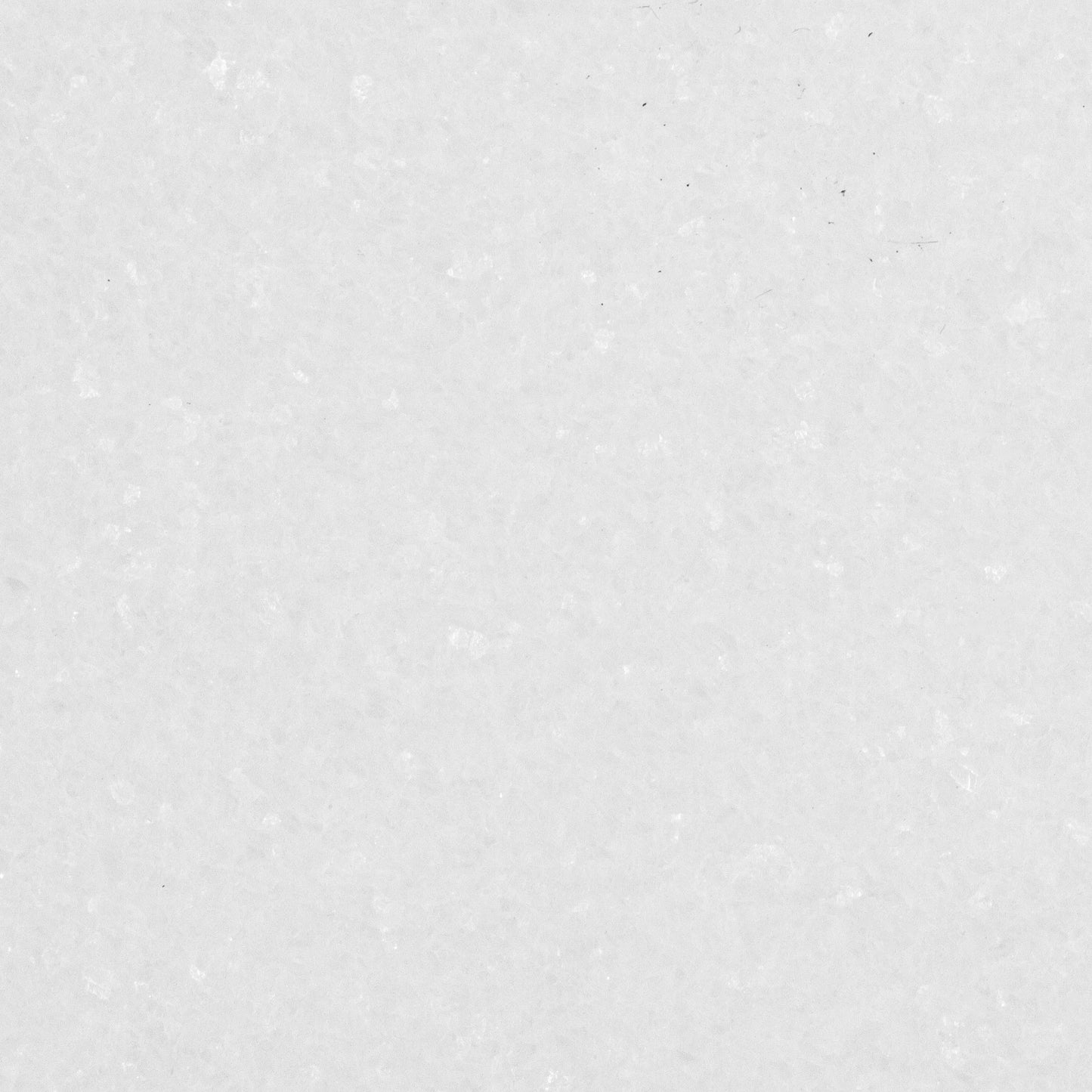 Thassos Tile Select Polished 12" X 24"