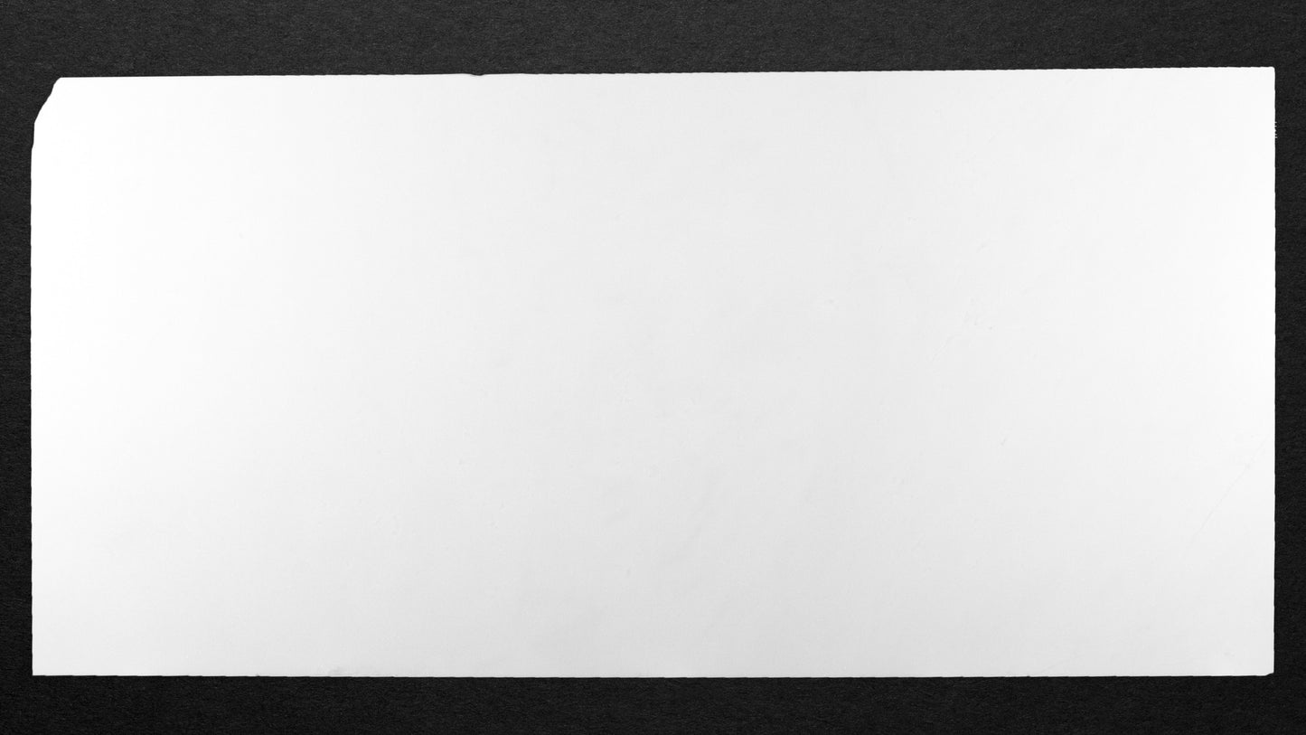 Thassos Tile Select Polished 12" X 24"