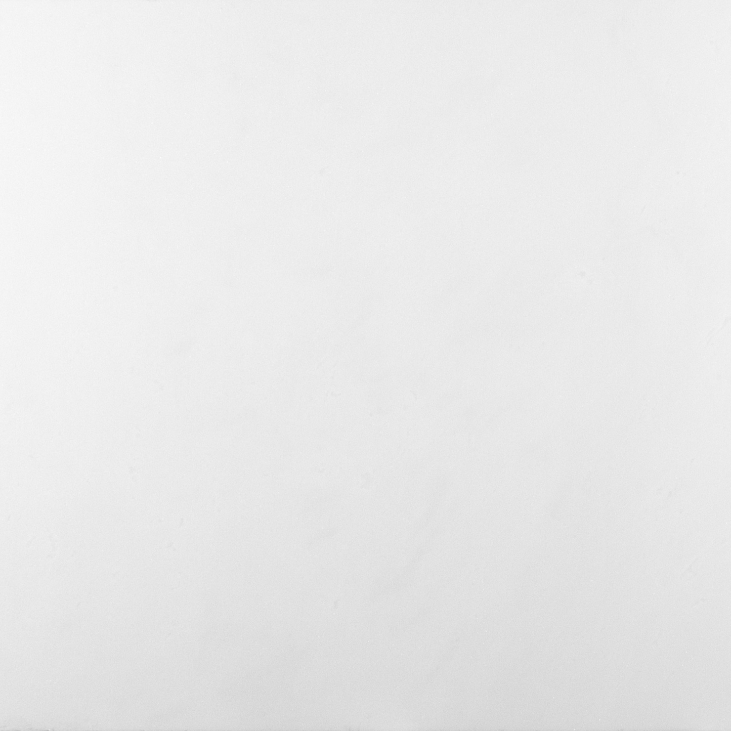 Thassos Tile Select Polished 12" X 24"