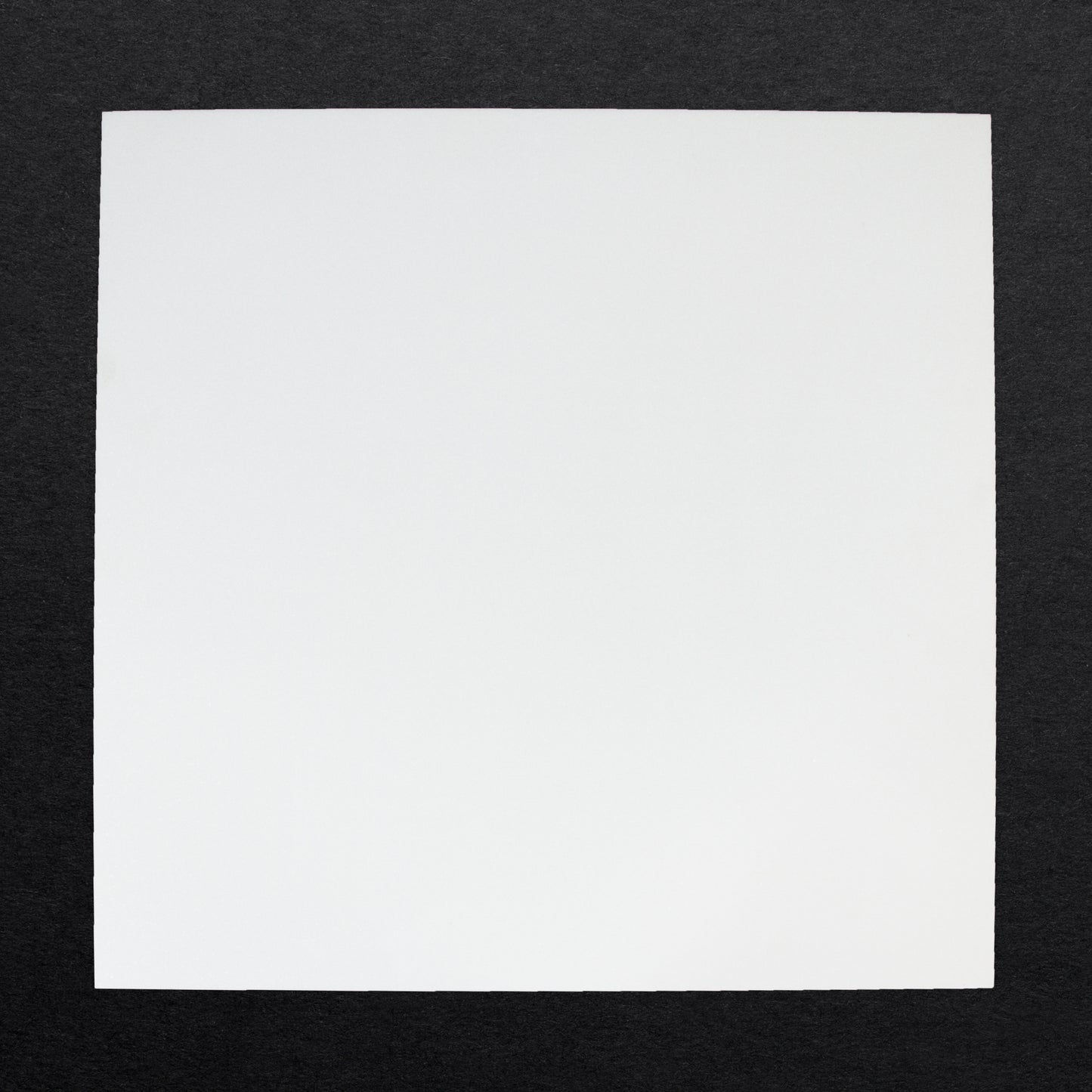 Thassos Tile Select Polished 24" X 24" x 3/8''