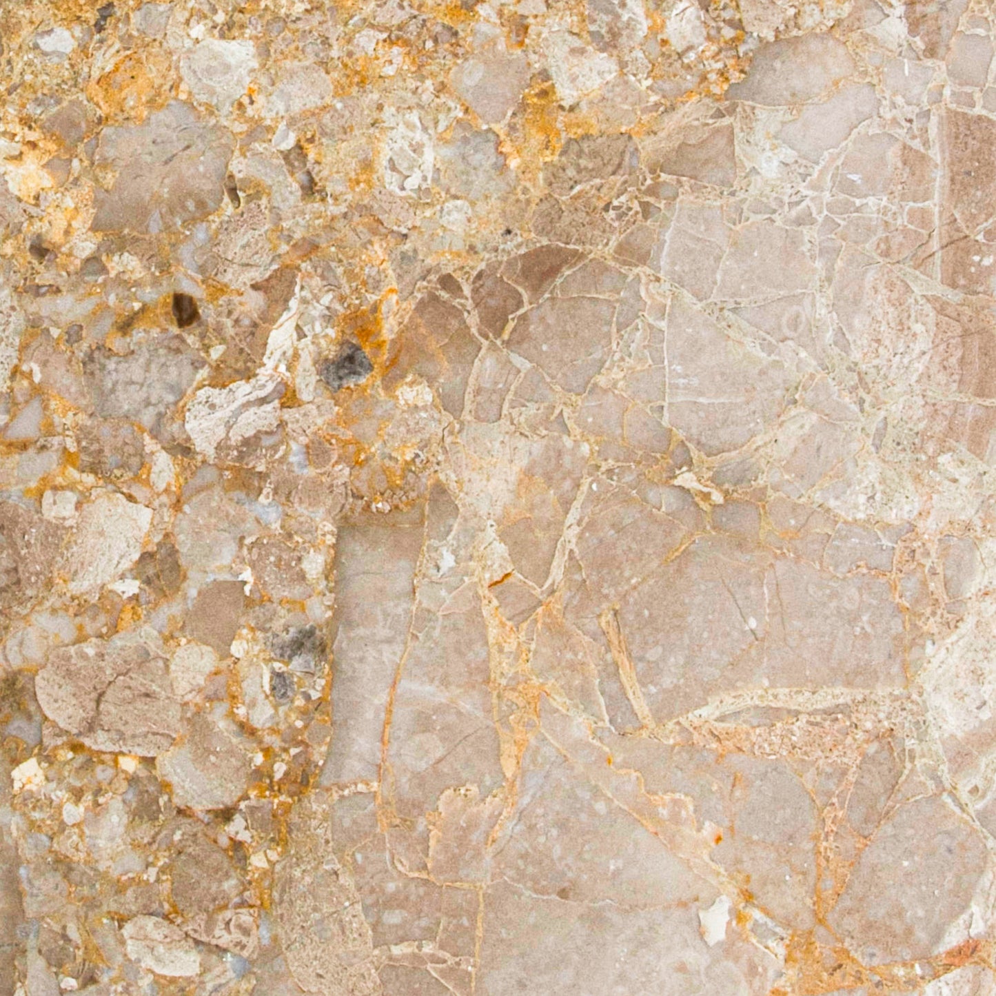 Karnis Brown Tile Polished 12" X 12"