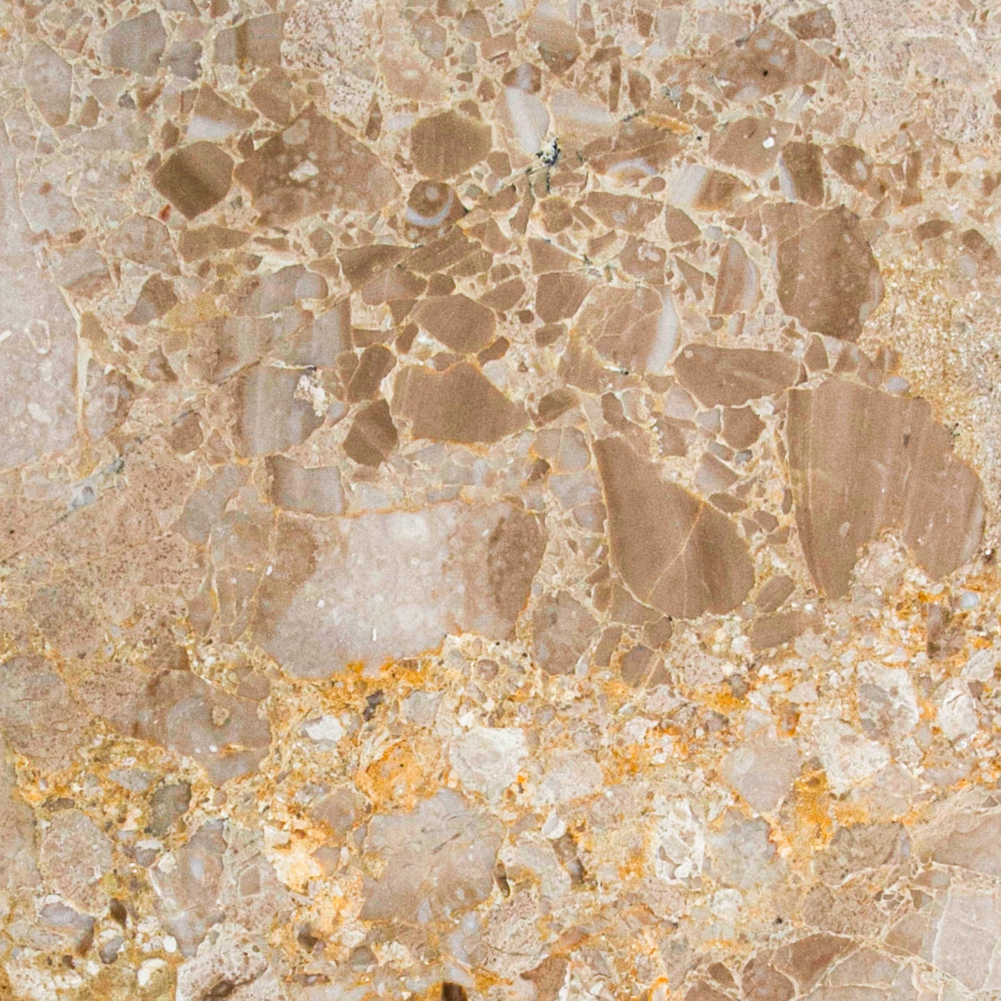 Karnis Brown Tile Polished 12" X 12"