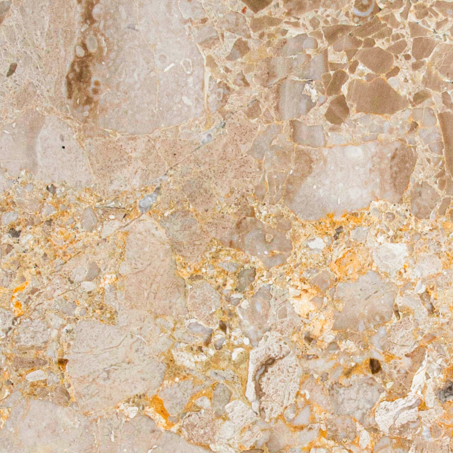 Karnis Brown Tile Polished 12" X 12"