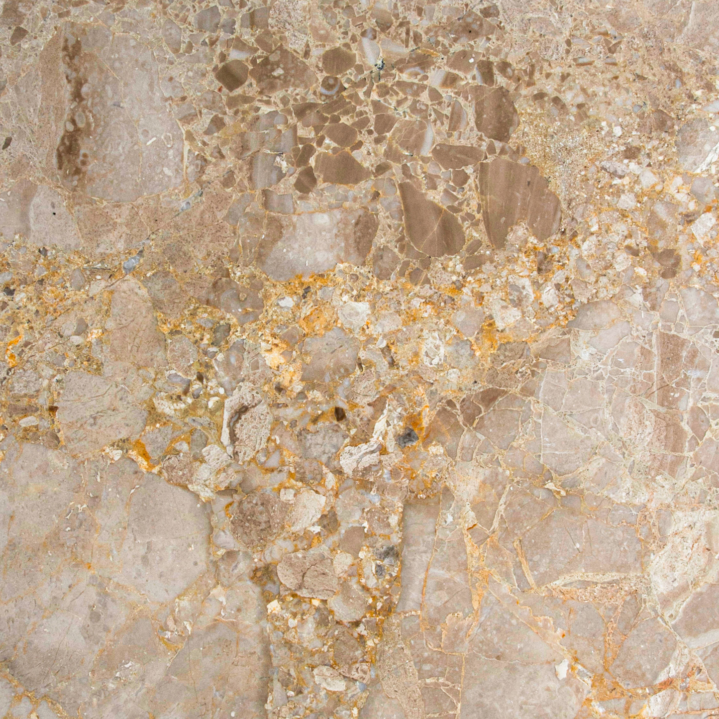 Karnis Brown Tile Polished 12" X 12"