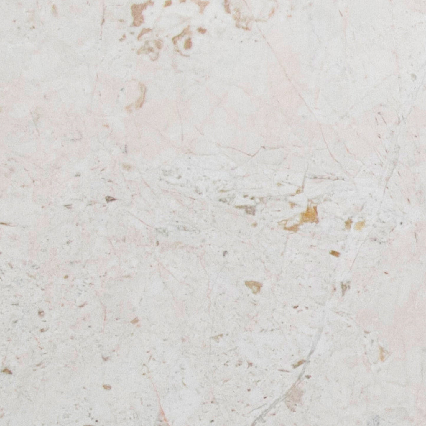 Vanilla Cream Tile Polished 12" X 12"