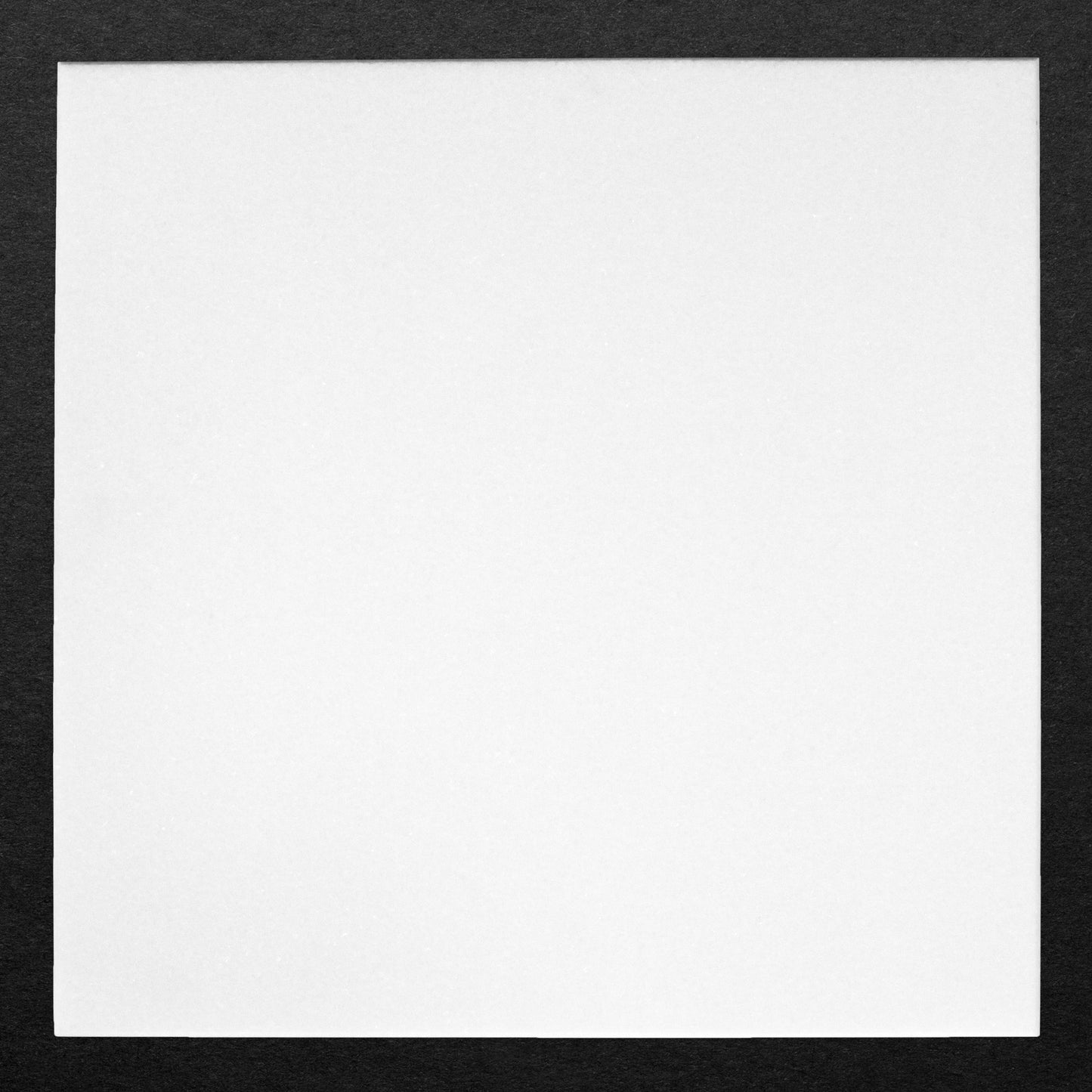 Thassos Tile Select Honed 12" X 12" X 3/8" $19.95 / SF