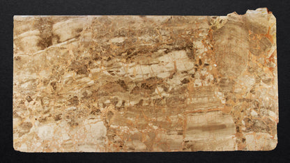 DT433 - Karnazeika Breccia Slab Polished - 3CM - 96" x 51"