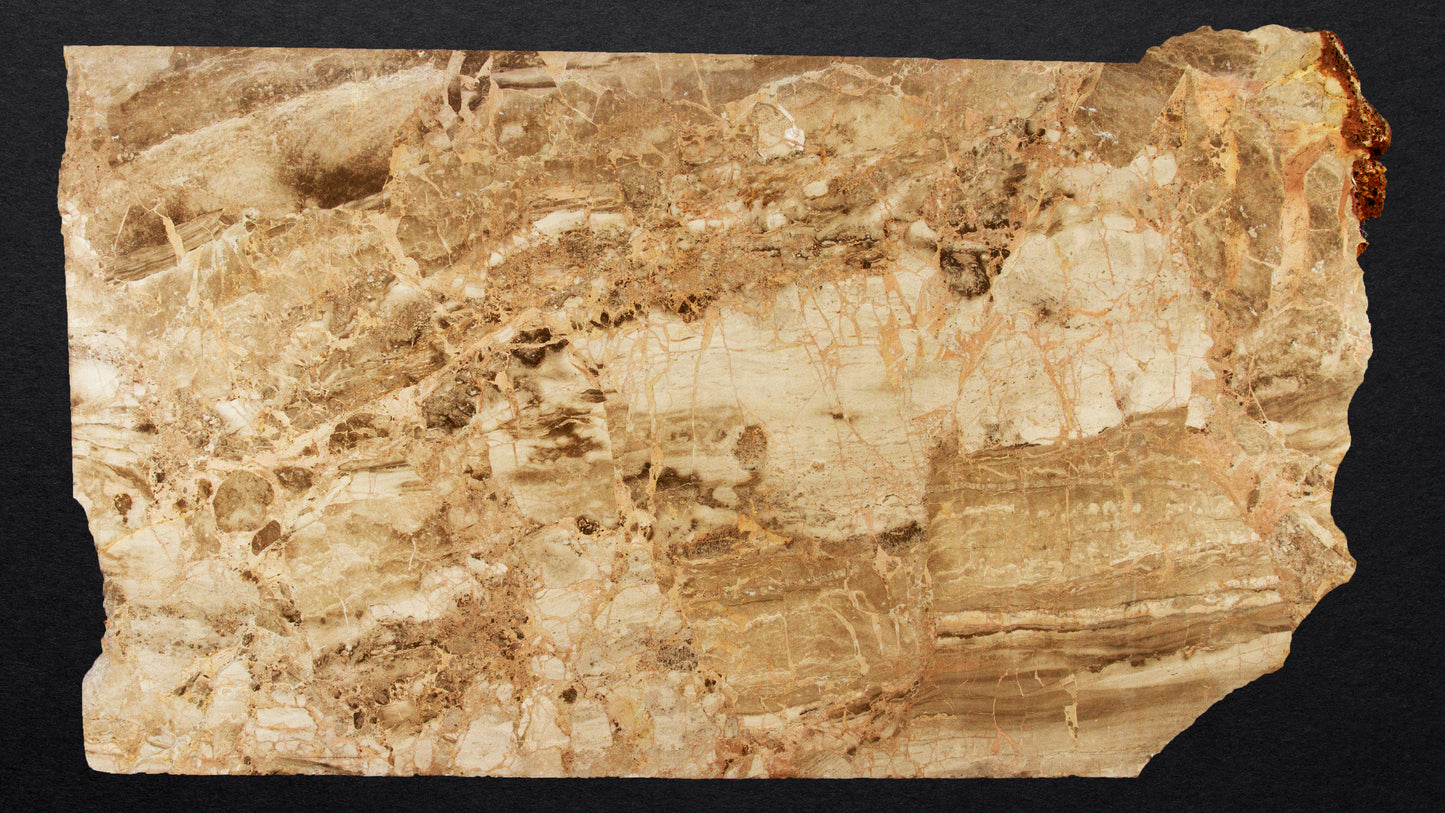 DT436 - Karnazeika Breccia Slab Polished - 3CM - 96" x 51"