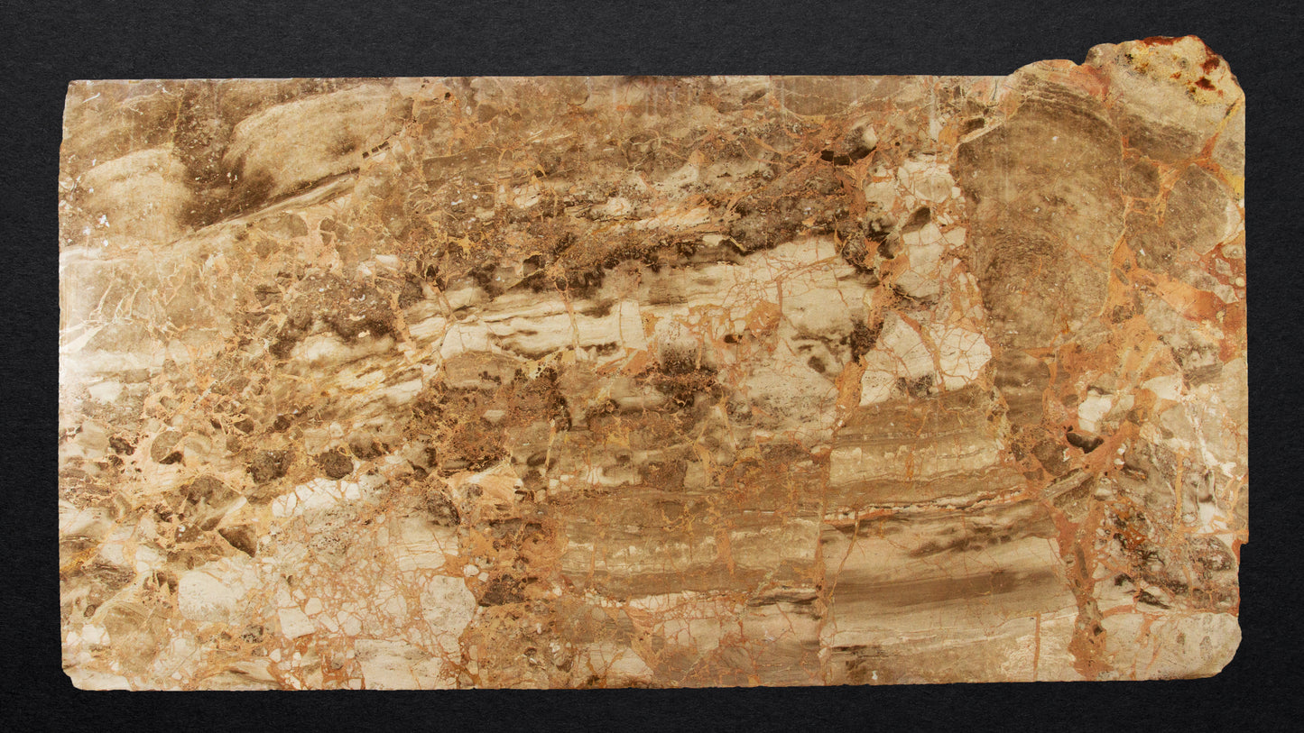 DT438 - Karnazeika Breccia Slab Polished - 3CM - 96" x 51"