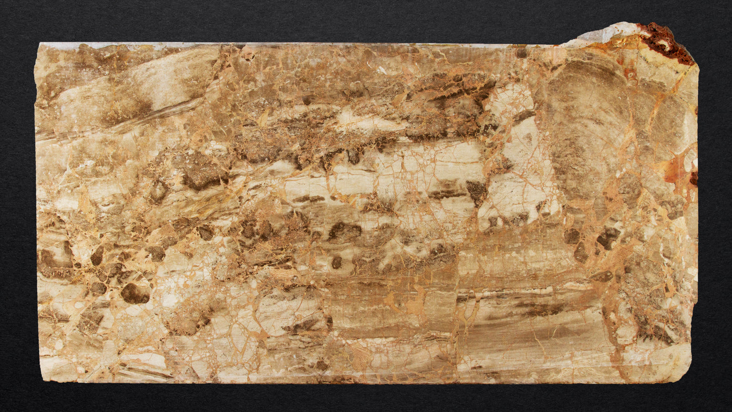 DT439 - Karnazeika Breccia Slab Polished - 3CM - 96" x 51"