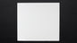 DT96801 - Thassos Slab Select - 2CM - 65" x 59"