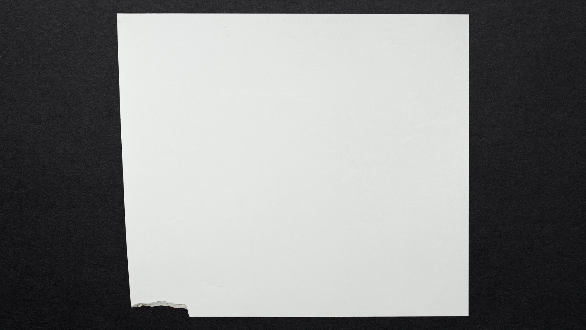 DT100197 Thassos Select polished marble slab - 2CM - 59 x 49 inches